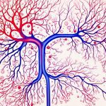 Blocked ureter
