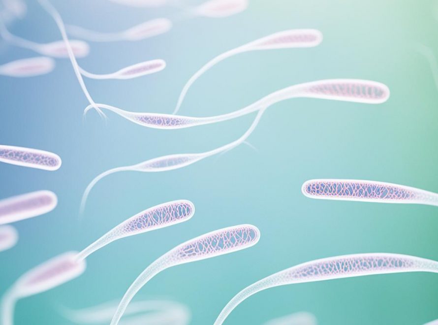 Subfertility